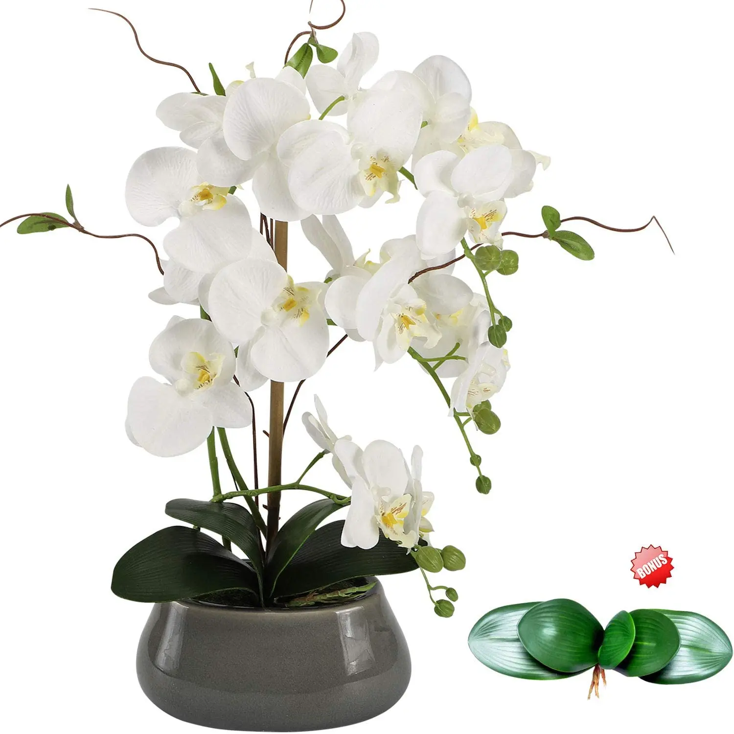 Artificial Orchid Flowers Cent - Florist Supply Vases ulasan dan harga