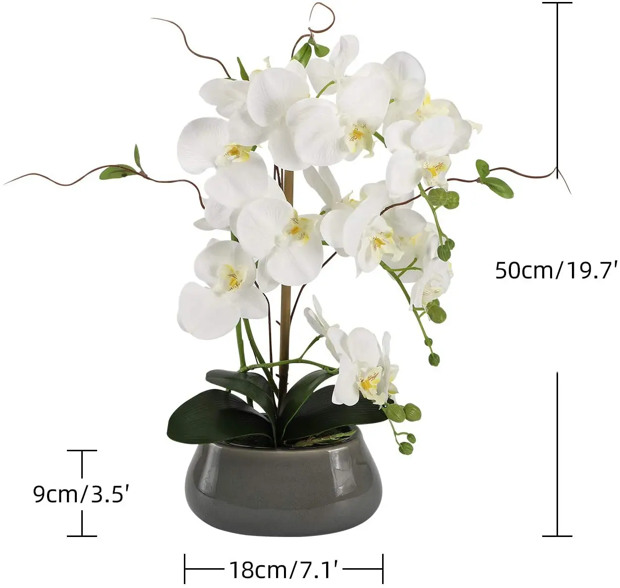 Artificial Orchid Flowers Cent - Florist Supply Vases ulasan dan harga