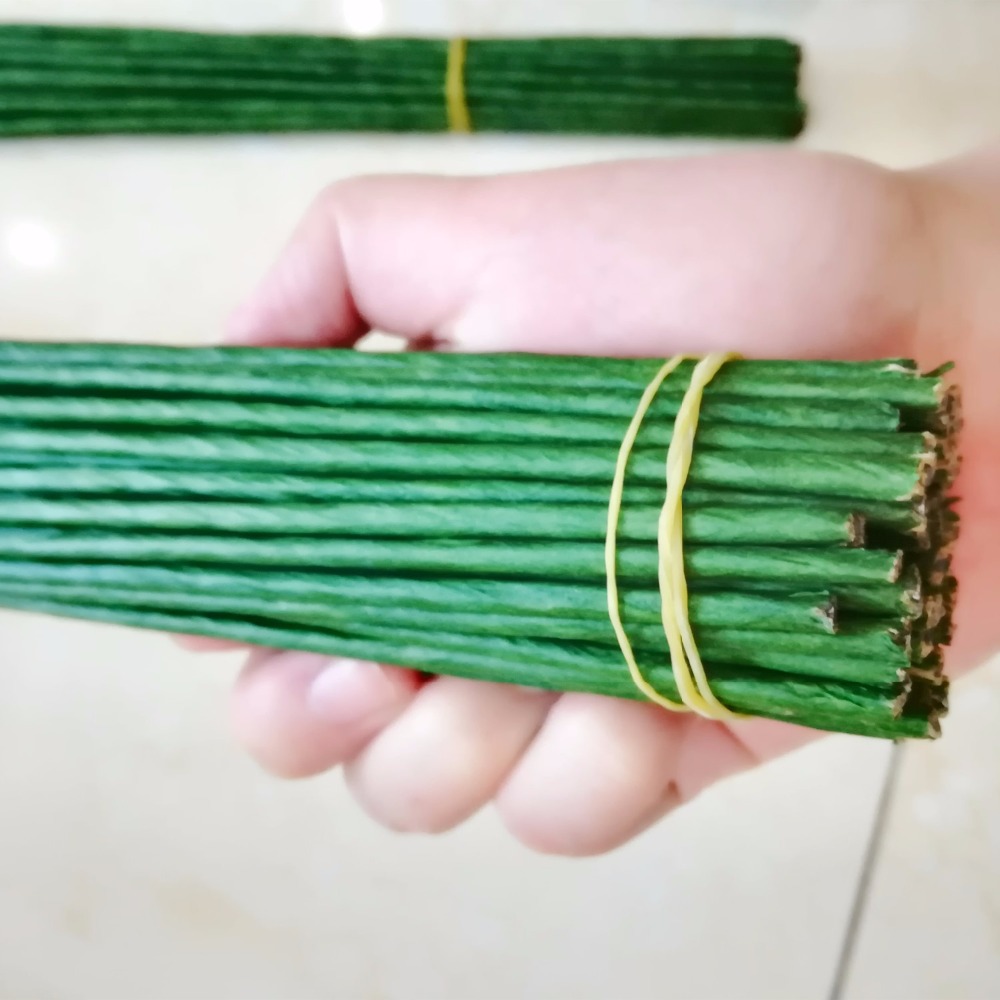 1mm 2/3/4/5mm 40/60cm Dark Gre - Wire Stem Florist ulasan dan harga