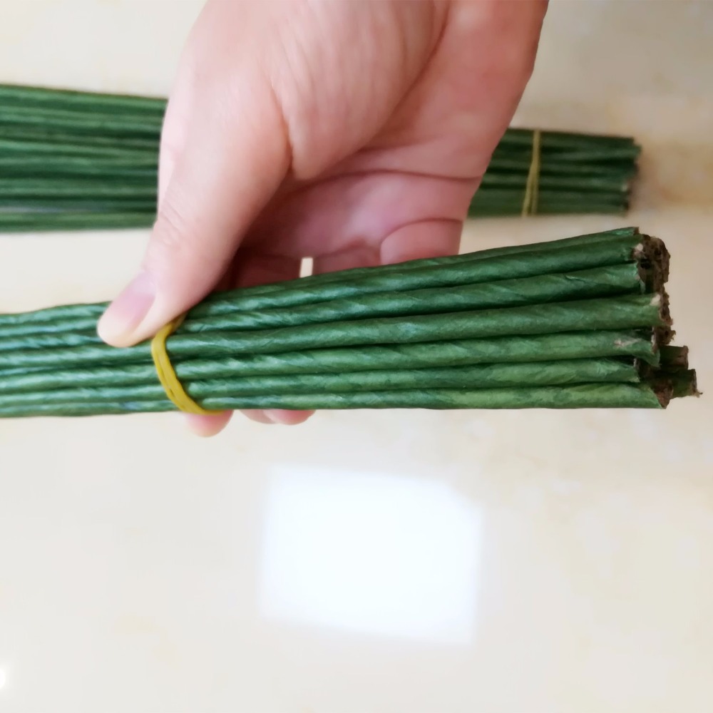 1mm 2/3/4/5mm 40/60cm Dark Gre - Wire Stem Florist ulasan dan harga